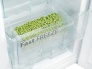 RF56,57, 58 -fast freeze.jpg